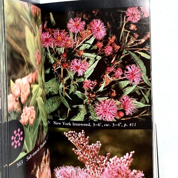 The Audubon Society Field Guide To North American Wildflowers - Eastern Region - Picture 5 of 8